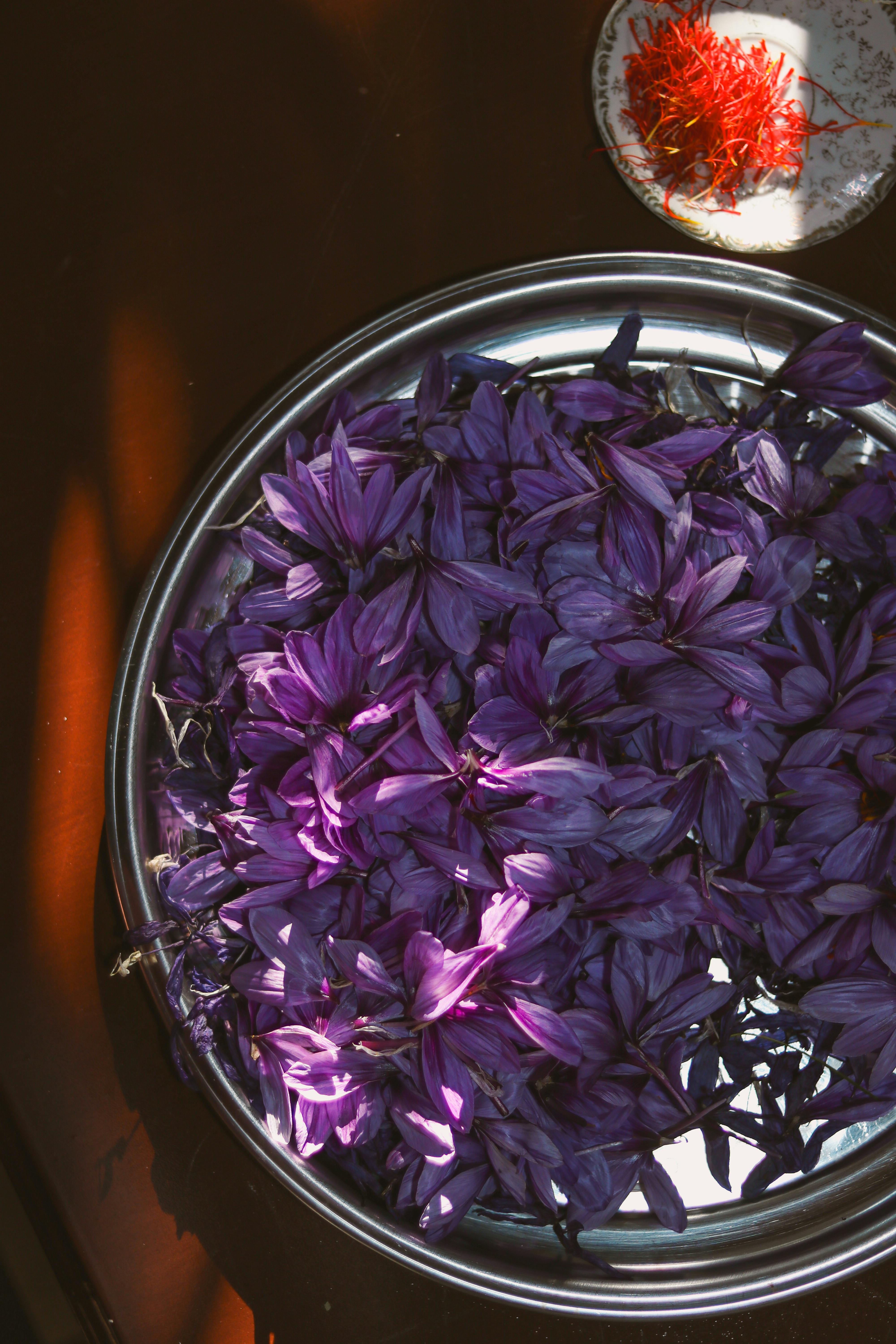 Saffron flowers prepared for professional kitchens